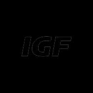 InterGlobe Flow